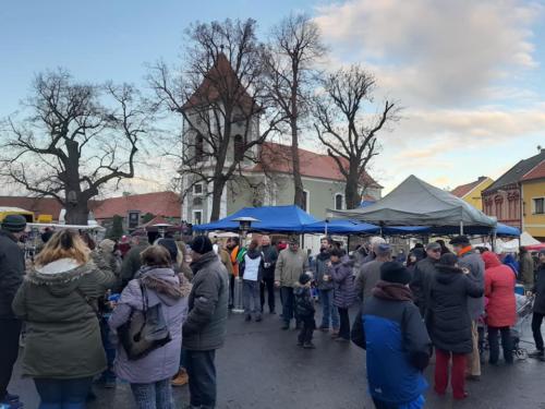 Nepomyšl 08.12.2018